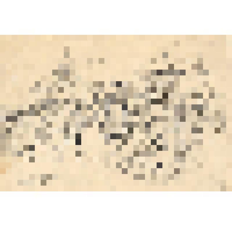 Из истории Пугачевского восстания