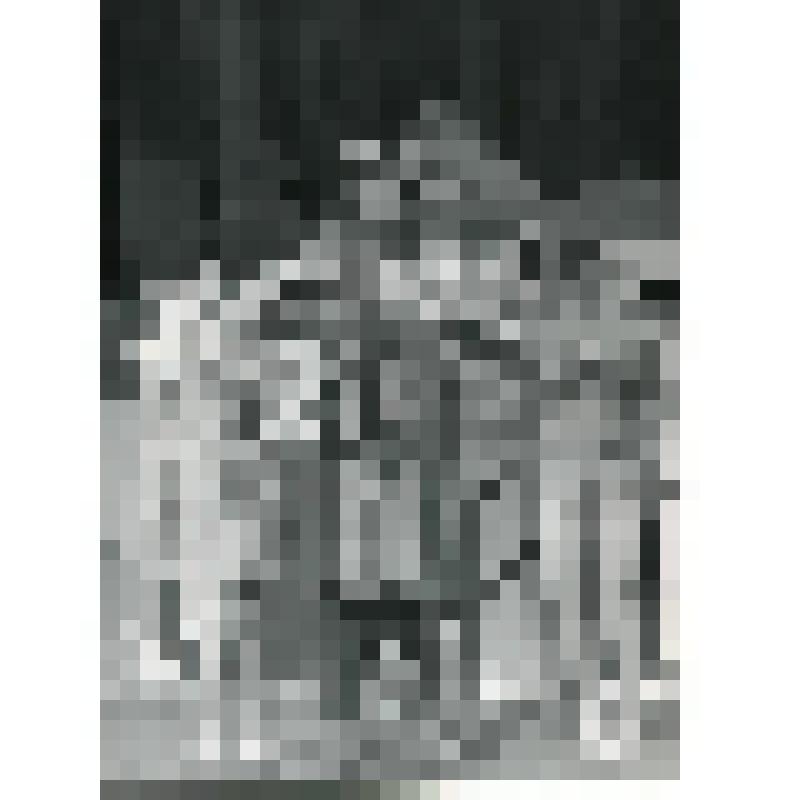 Фотография. Ешковская С.А. в роли 1-го котенка. Закршевский Л.В. в роли Кота Василия. Шлям Ф. в роли 2-го котенка. "Кошкин дом" (Постановщик- Вольгуст В. Художник- Церадзе Г.). Грузия, Тбилисский государственный русский театр юного зрителя