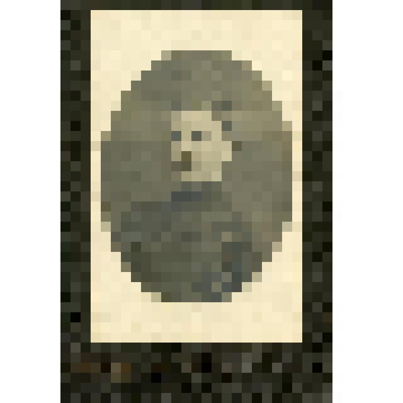 Портрет А.В. Чесалова (в овале). На фирменном бланке. Фотография