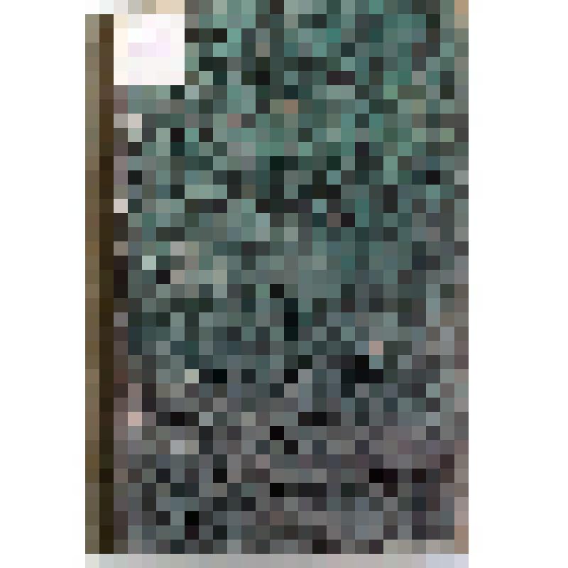 Сборник. Продолжающееся издание. Записки, состоящего  под Августейшим покровительством Его Императорского Высочества Великого князя Михаила Николаевича,  Уральского общества Любителей Естествознания. -  Екатеринбург: Тип.  "Екатеринбургской газеты", 1896