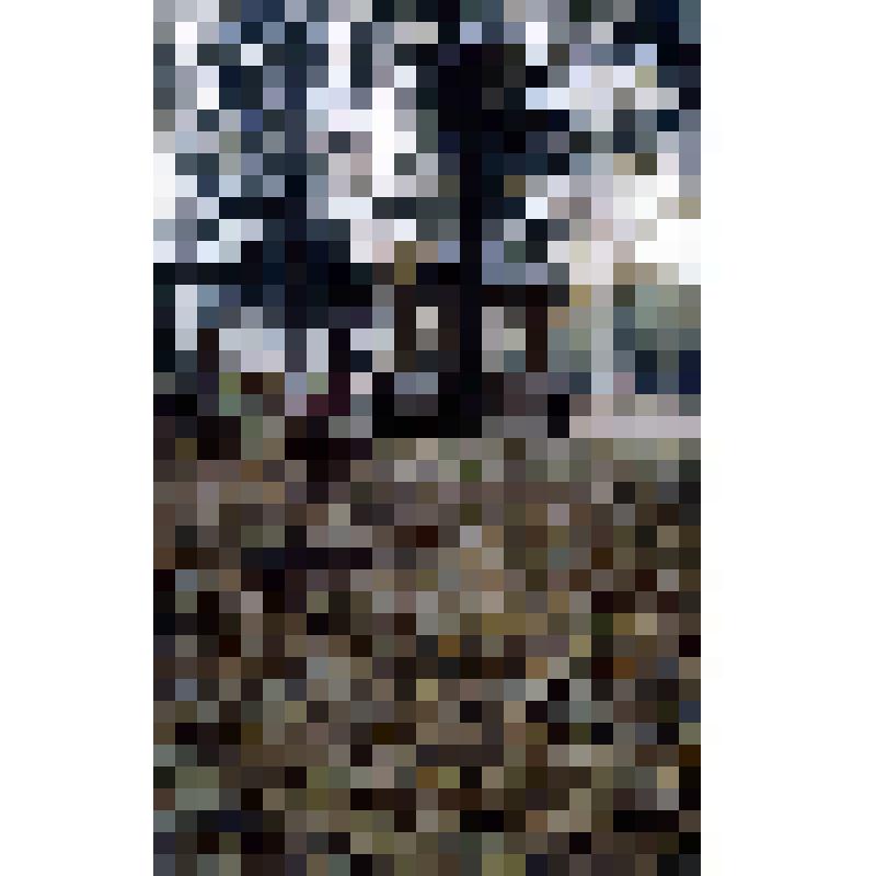 Диапозитив. Парк. (320)