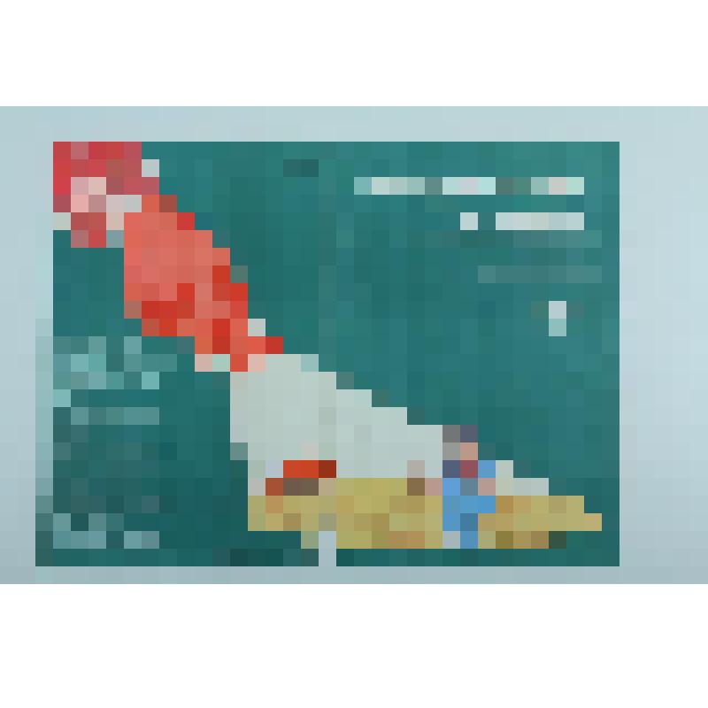 Плакат сатирический: «Потерям урожая – заслон» - обложка