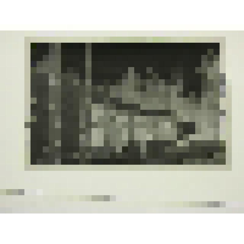 Пионерский лагерь "Линейка" (Саулык). Татарстан, г. Набережные Челны. Пионерский лагерь "Линейка" (Саулык)  Фрагмент