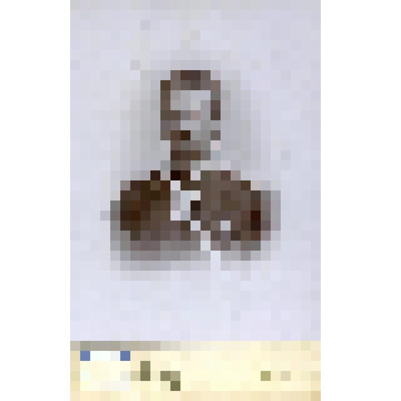 Фотография черно-белая. Гончаров I Михаил Федорович