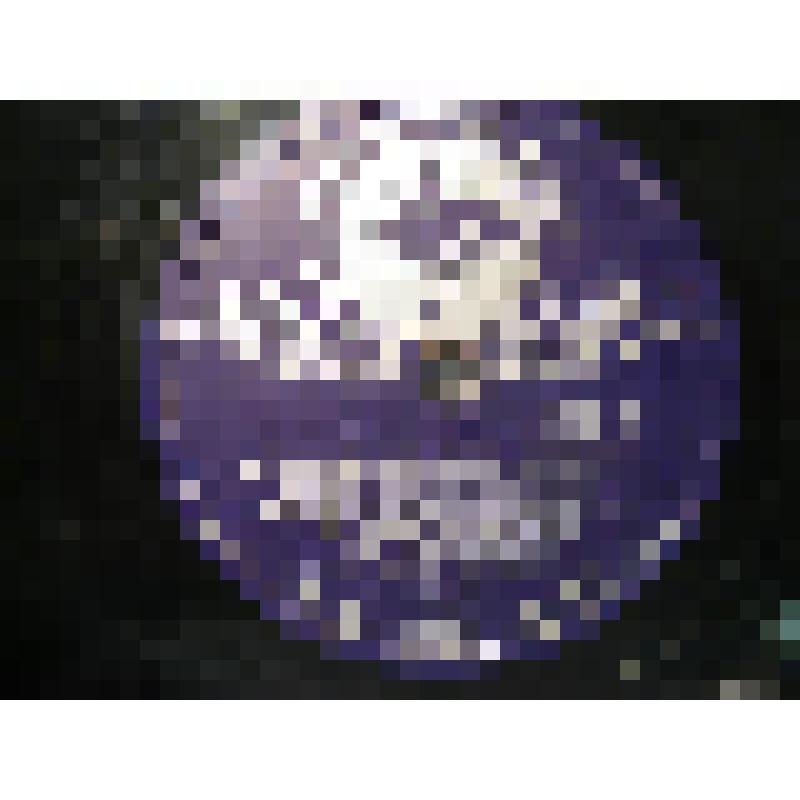 Грампластинка. 1. Дуэт "Рыбная ловля" Россини Дж.  Исполняют Гольдина М. С., Борисоглебская Л. П.   2. Дуэт "Гребные гонки в Венеции" Россини Дж.  Исполняют Гольдина М. С., Борисоглебская Л. П