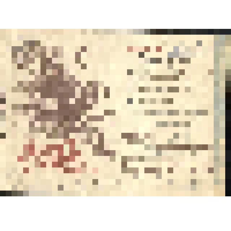 Письмо-благодарность лейтенанта Кравцова А.А. отцу рядового Казунину Арефию Петровичу