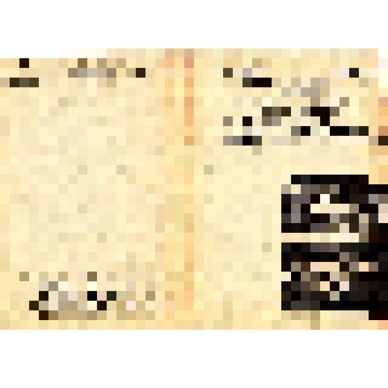 Учетная карта-паспорт элемента исторической застройки к историко-архитектурному опорному плану и проекту зон охраны. РСФСР, Тульская область, г. Тула, Пролетарский р-н, квартал №6, ул.Шурдукова/ул.Плеханова, д.35/1