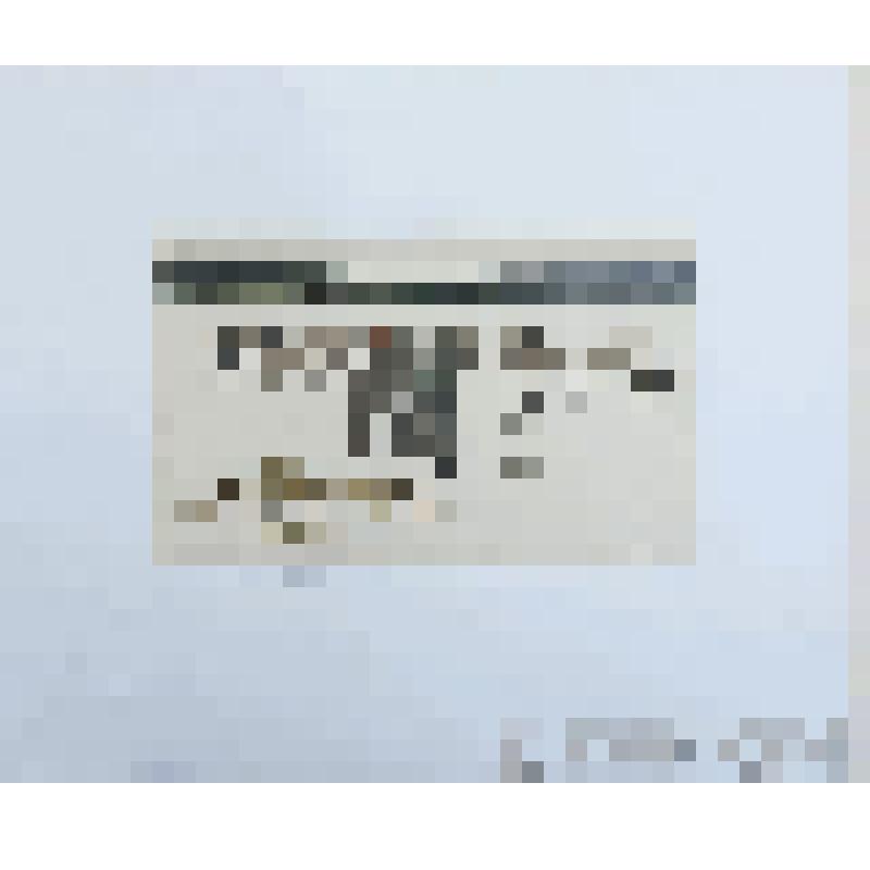 Рисунок. Таймырские пастухи