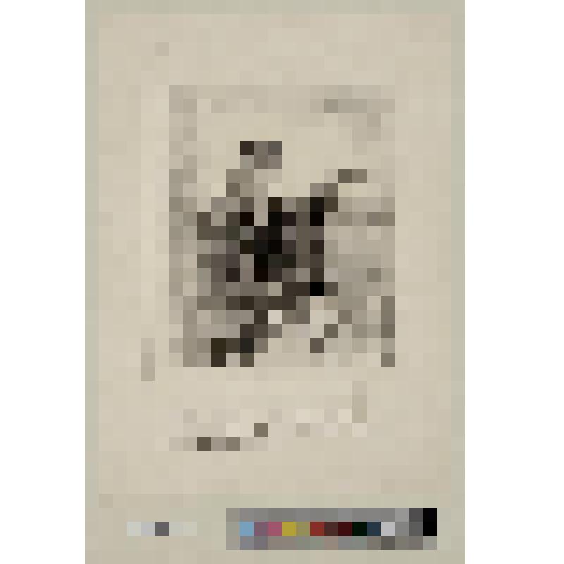 Человек в судейской тоге держит речь, протянув руку в сторону зала