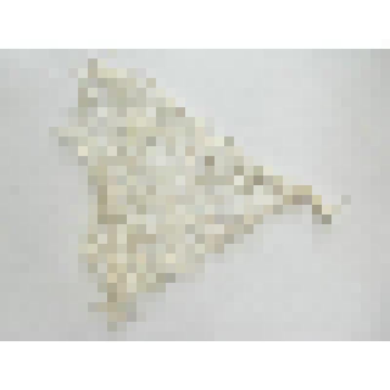 Сетка для ловли раков из капроновой нити, работа И.С. Белостоцкого