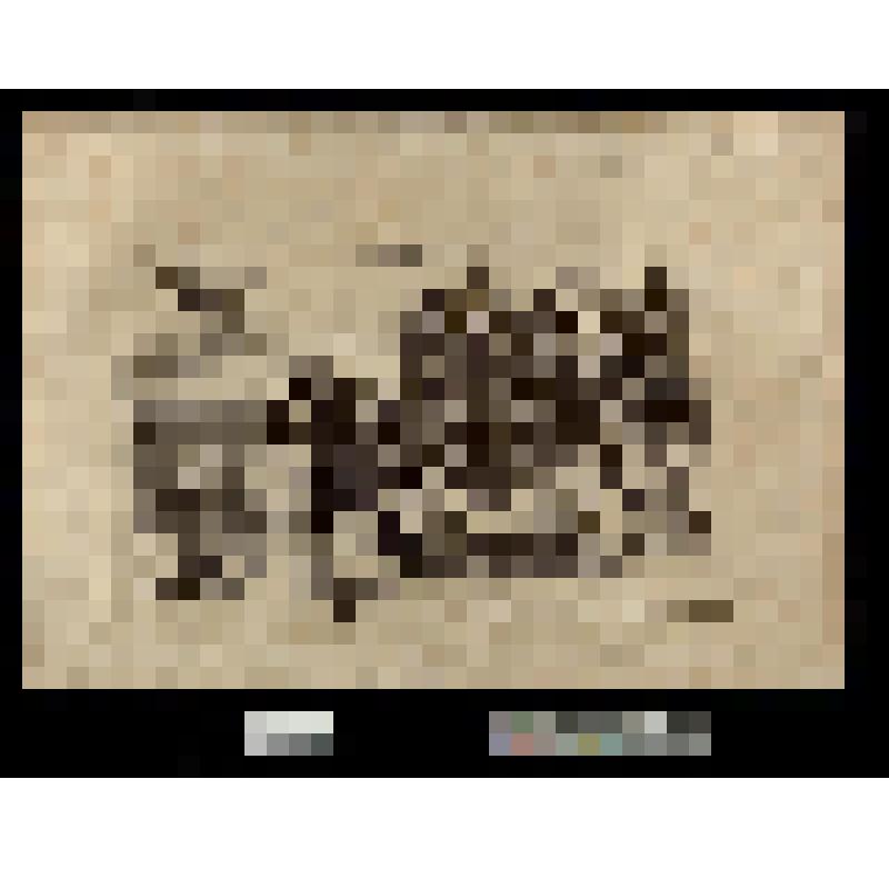 Une séance de l'union électorale