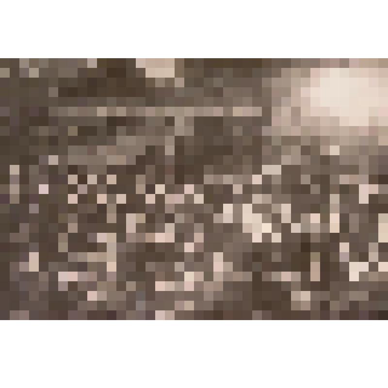 Фотография. Выступление агитбригады Угличского Дома культуры на городском базаре (сейчас – парк Победы)