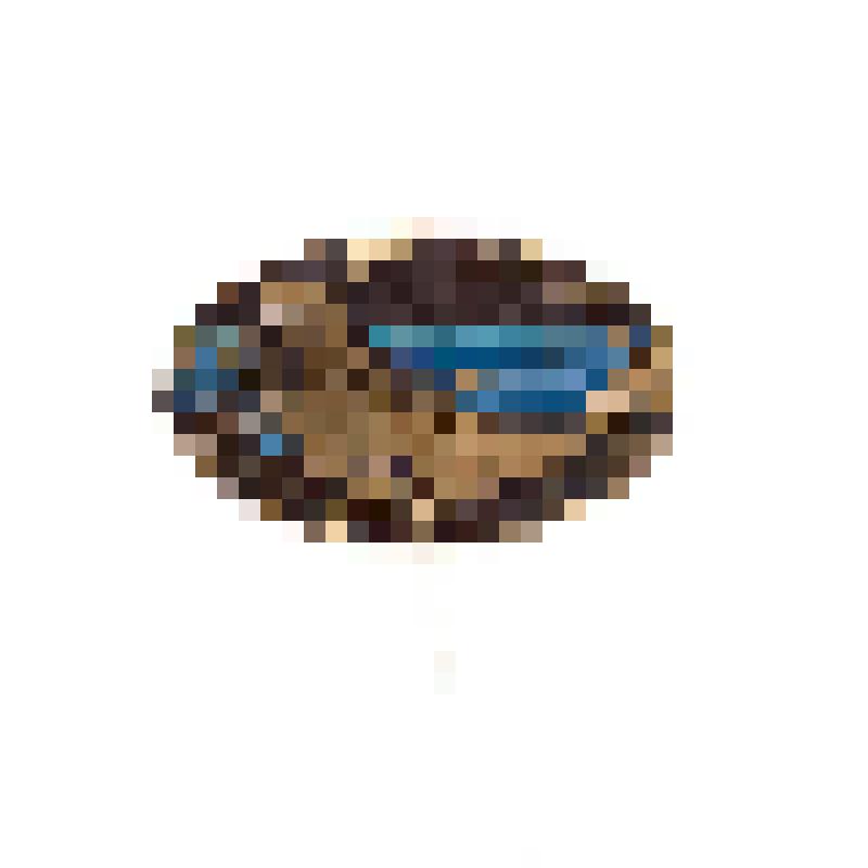 Значок "Сахалинский краеведческий музей"