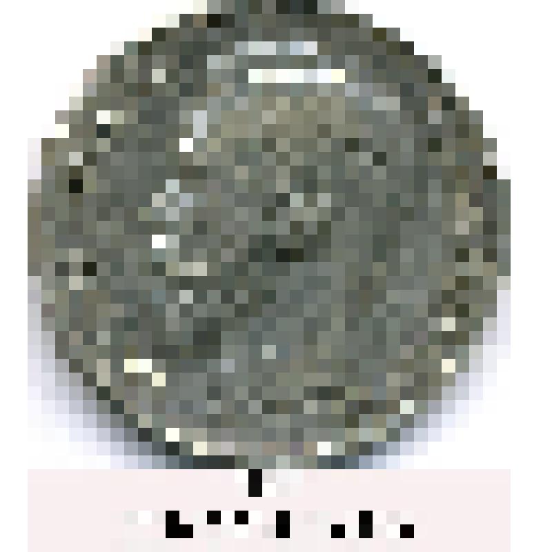 Монета РУБЛЬ