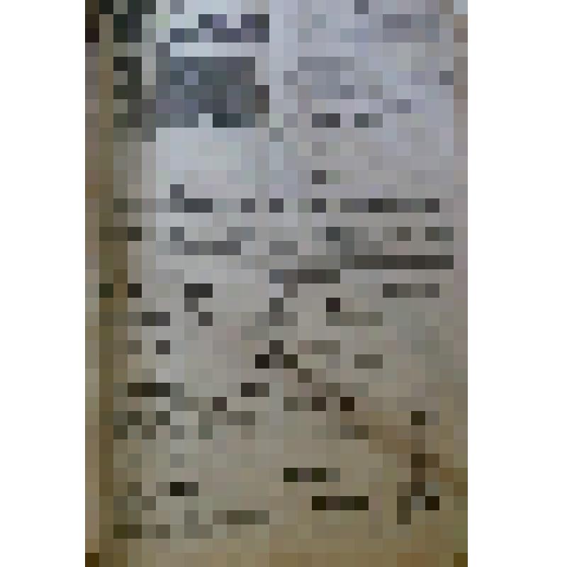 Газета «Прикамская жизнь» за 1911 год, , №110 от  22.05.11