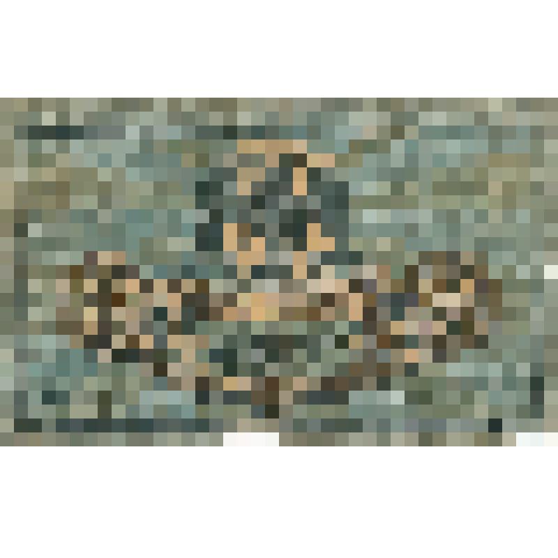 Знак денежный. Россия. Ростов-на-Дону. 5 рублей 1918 г