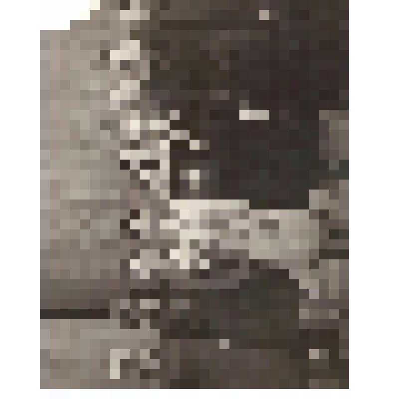 Фотография. Пелисов Г.А. на встрече с коллективом педагогов Ленинградского хореографического училища им. Вахтангова