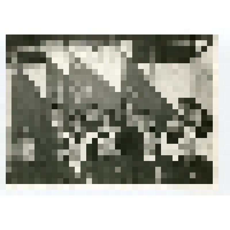 Фото портрет групповой. Ветераны ВОВ и комсомольцы-активисты