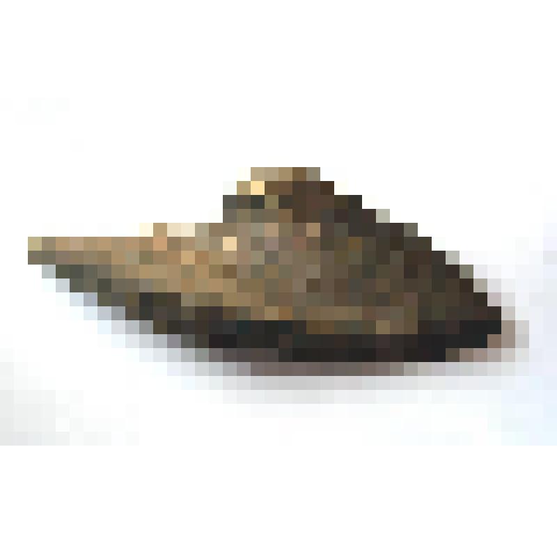 Заготовка из кости