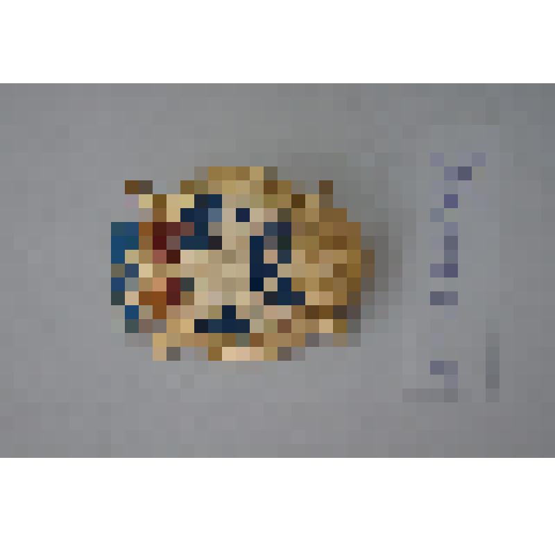 Знак «X лет возрождению Донского казачества». Водолацкого В.П., РФ