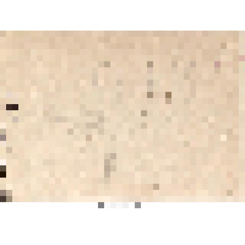 Набросок лошади. Рисунок