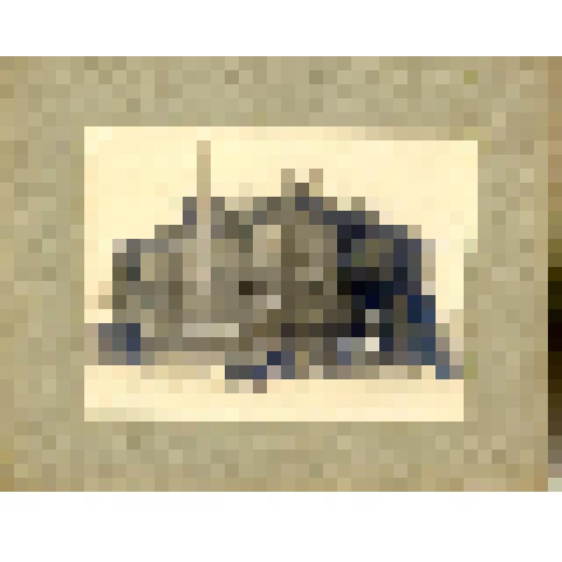 Фотография. Дом №  31 на углу Варварской и Октябрьской после пожара в ноябре 1927г