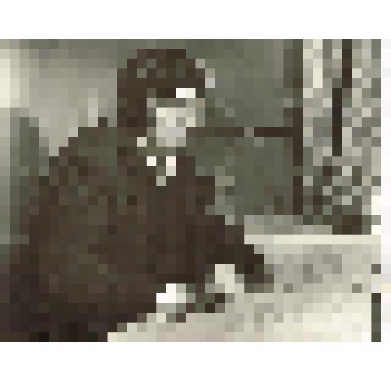 Фотография черно-белая. Инженер Эшников Валерий Александрович