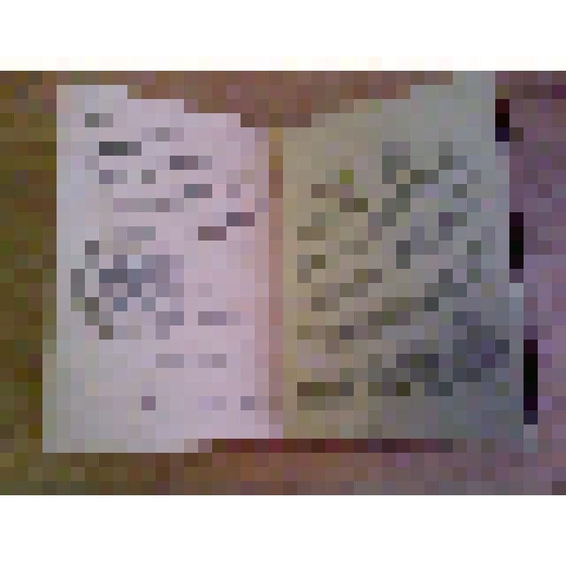 Орденская книжка № 317487