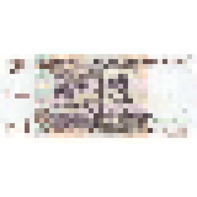 Билет Банка России 1000 рублей. Россия