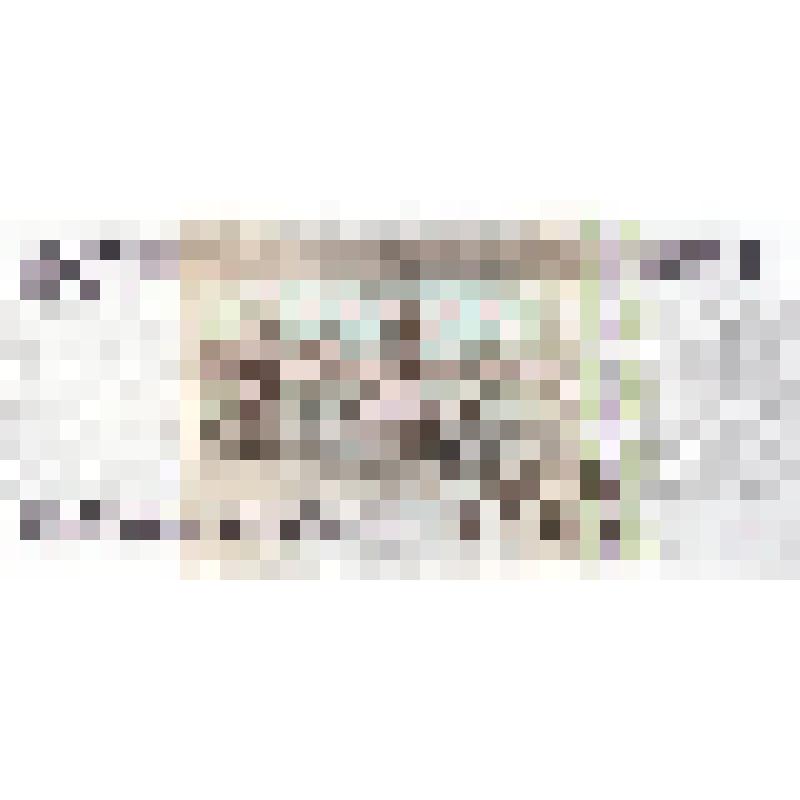 Билет Банка России 1000 рублей. Россия