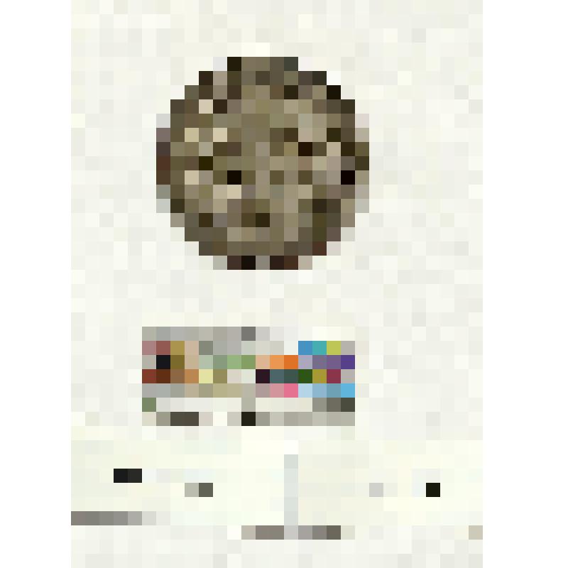 Рига. Медаль. 25-летие 2-го рижского общества взаимного кредита. 1894 г