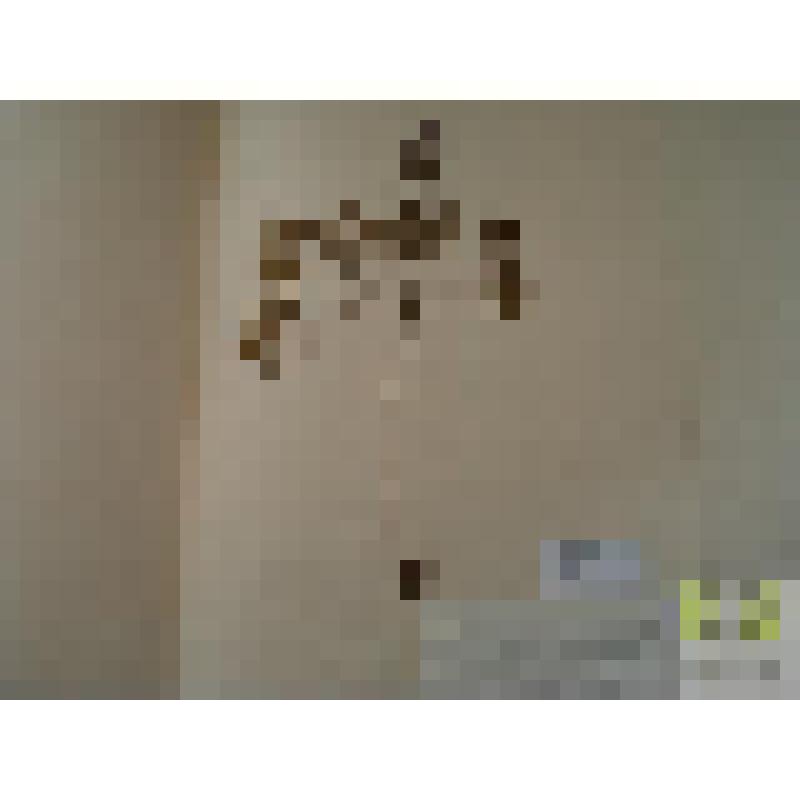 Хохлатка Галлера (Corydalis Halleri Willd.)