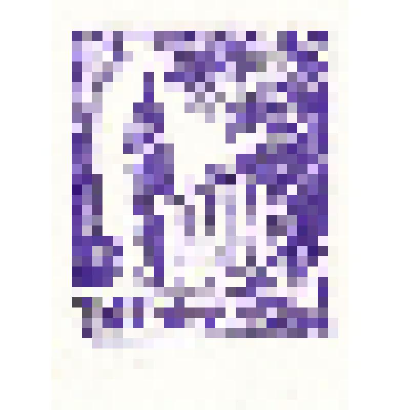Экслибрис "Ex Libris В. Манжуло"