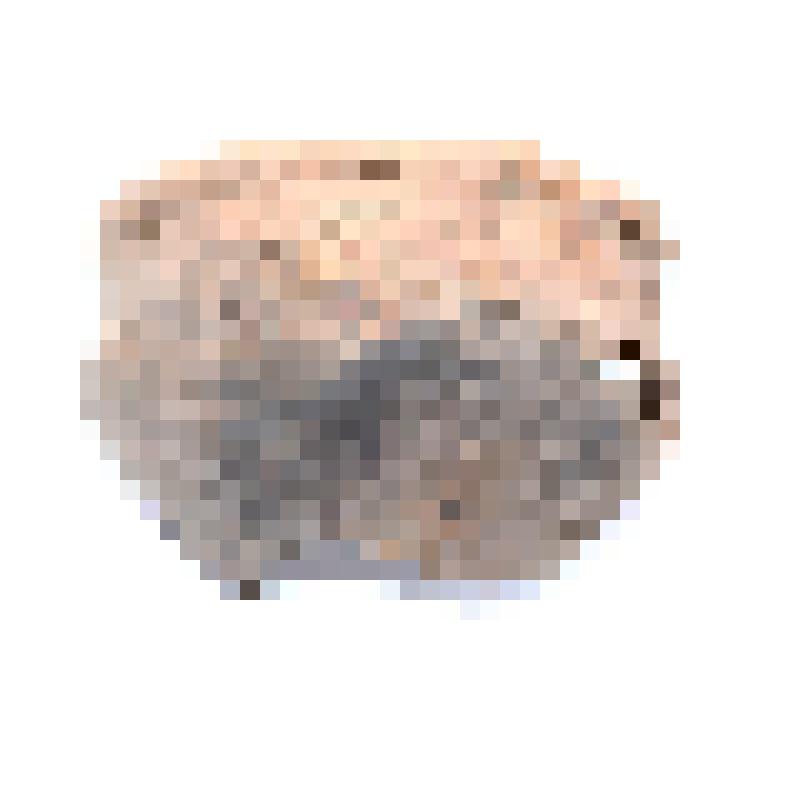 Сосуд (фрагмент)