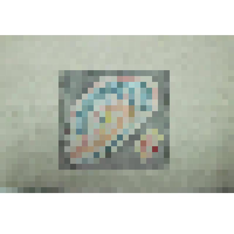 Орнамент. Проект декора диванной подушки. Рисунок