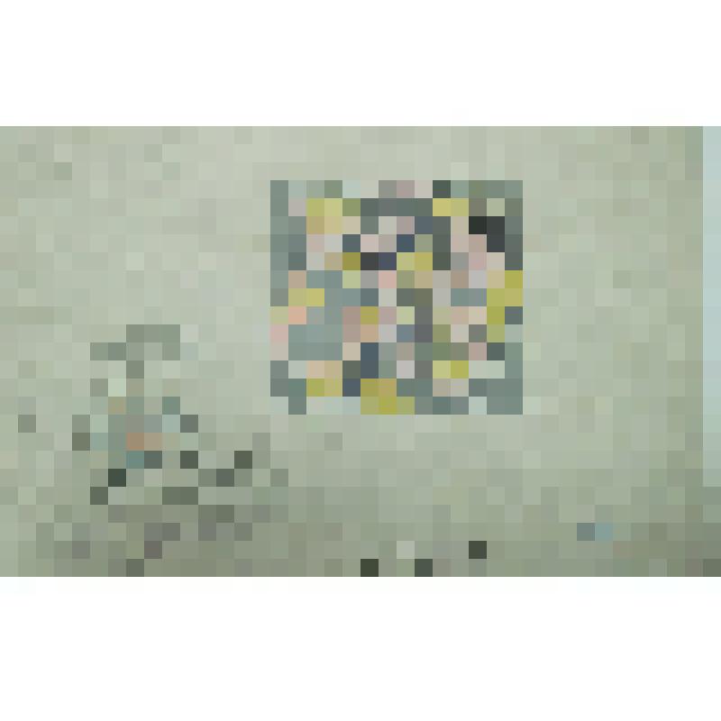 Орнамент. Проект декора диванной подушки. Рисунок