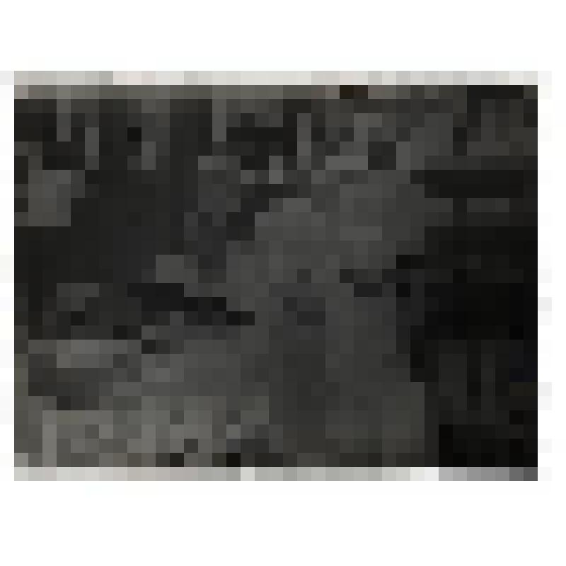 Л.Н. Толстой с близкими в Ясной Поляне