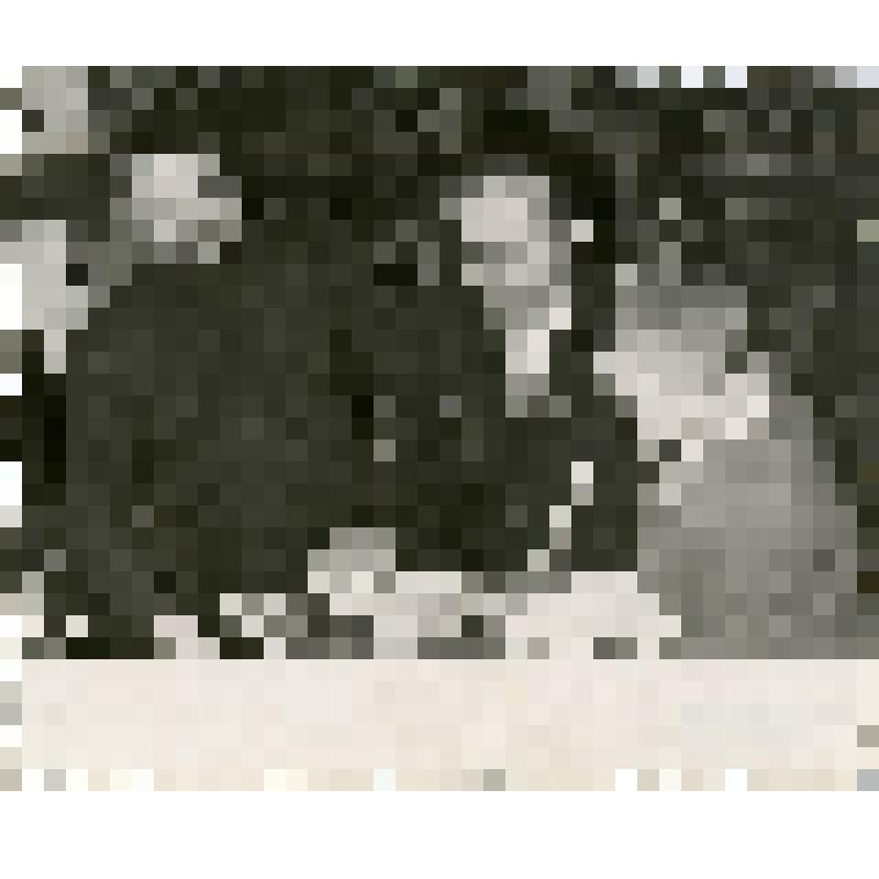 Фотография ч/б. Трофимов Фёдор Леонтьевич с сыновьями - Вячеславом (старшим) и Владимиром (младшим)