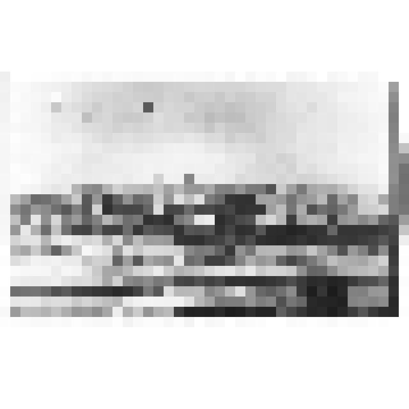 Фотокопия. «Сызрань. Общий вид»