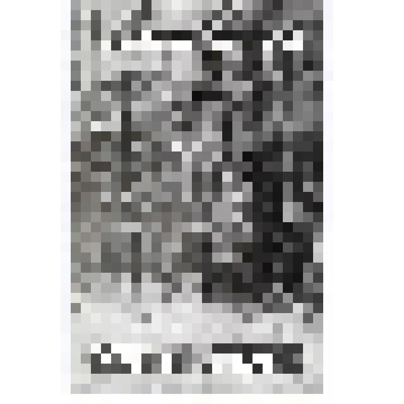 Книга. Осенний оркестр. - Днепропетровск: "Полиграфист", 2003