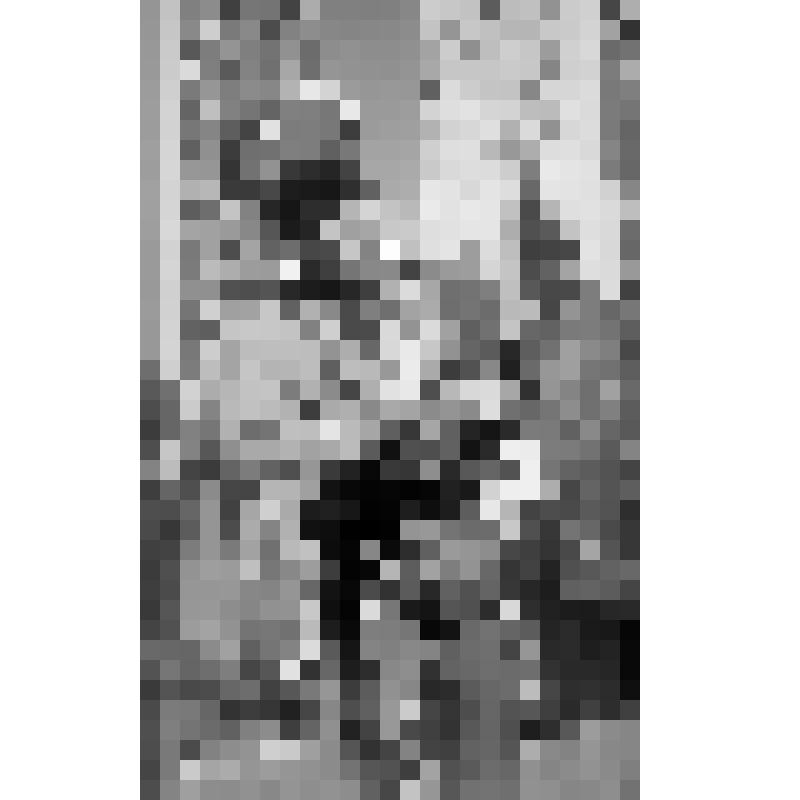 Серия фотографий с авторской фотовыставки "Мой взгляд". Фото цв. Гусар. 1987 г