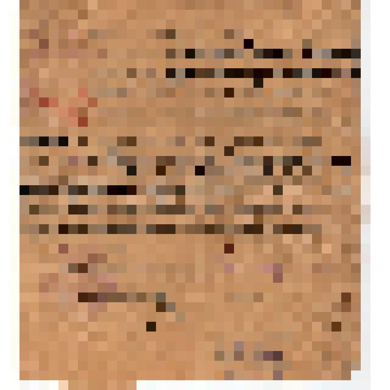 Удостоверение N 21 Шехманского Районного Исполнительного Комитета Советов Козловского округа на имя. Хлопова Т.П