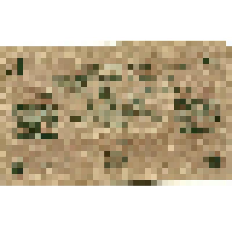 Бумажный денежный знак. Государственный кредитный билет достоинством 250 рублей. Серия: АА. Номер: 085