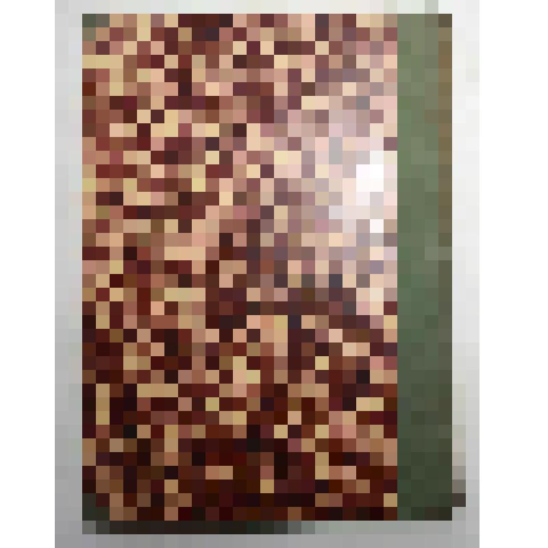 Книга. Автомобиль. Общедоступное руководство для владельцев и шоферов. Типография "Виктория"