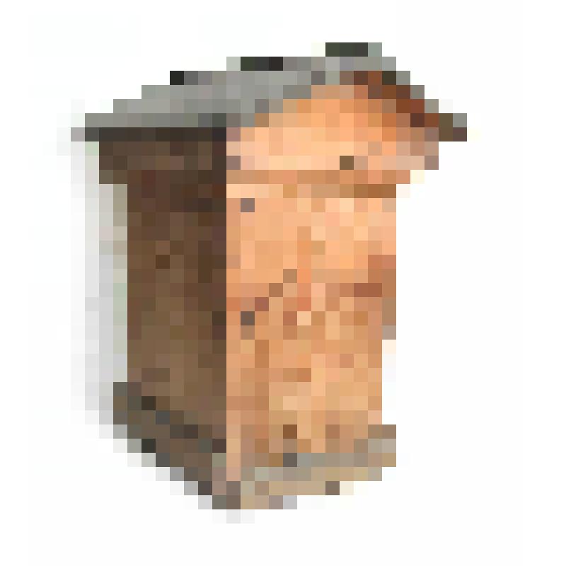 Модель улья Левицкого(?)