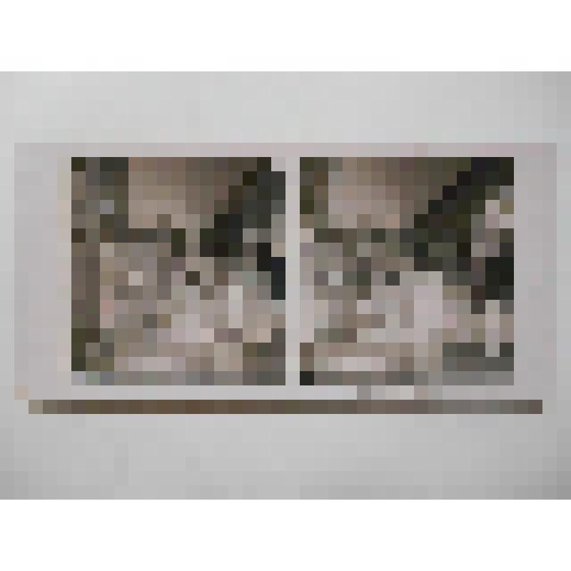 Франция, Версаль. Аппартаменты Людовика XIV. Вид зала. Neue Photographische Geseltschaft A. G. Berlin-Steglitz 1903