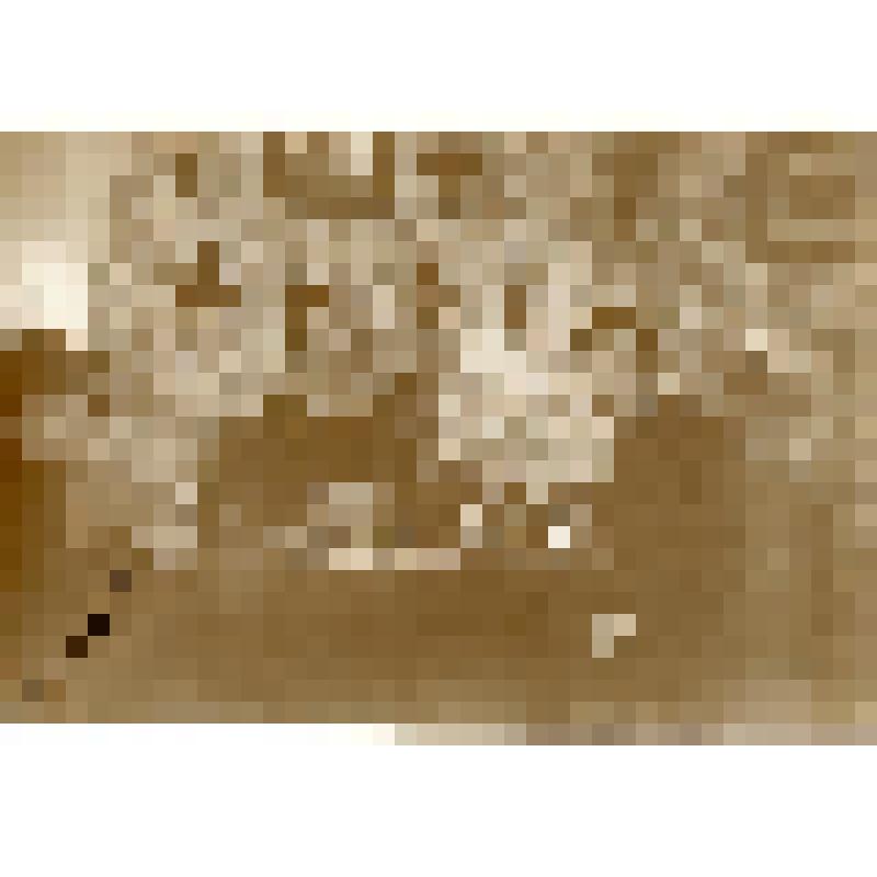 Фотография черно-белая. Ф.Н. Лаговский с сыновьями за игрой в карты