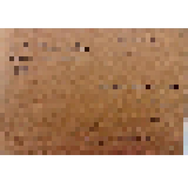 Этюд. Пейзаж