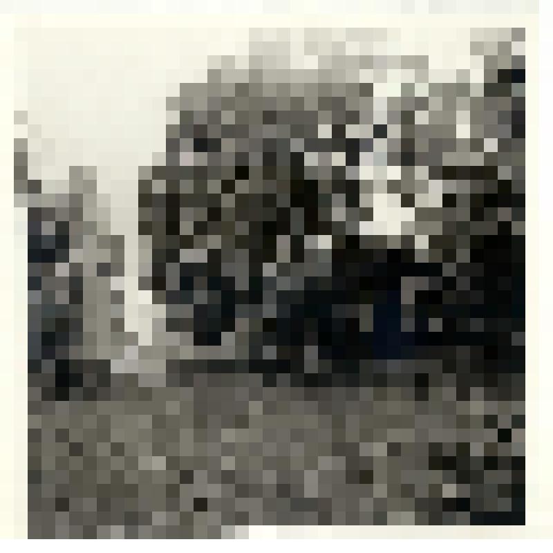 Фотография. Бюст А.В.Суворова у дома Офицерского собрания