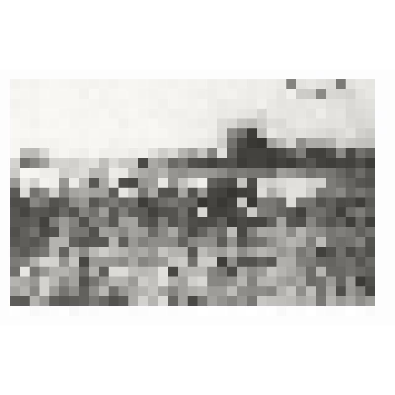 Открытка. Пастораль Чуо-Сикендзё, основанной губернаторством Карафуто. Из комплекта: Коллекция японских открыток. /Карафутское почтовое управление